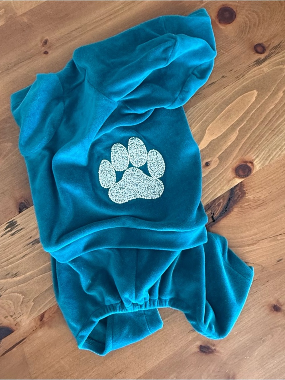 Teal Dog Outfit Velour Hoodie Clothing with Sparkle Paw-Size Small